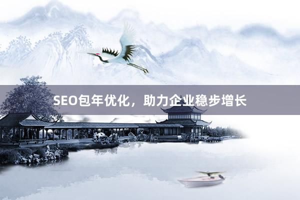 SEO包年优化,助力企业稳步增长