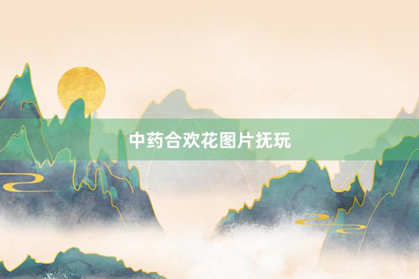 中药合欢花图片抚玩