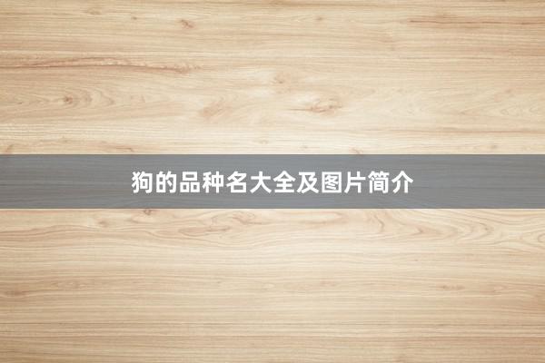 狗的品种名大全及图片简介